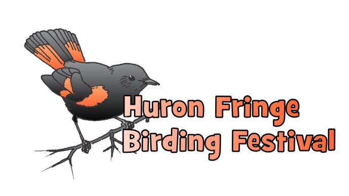 Birding Festival.jpg